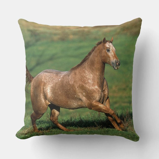 Coussin Cheval d'Appaloosa fonctionnant dans le domaine (Recto)