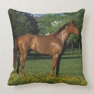 Coussin Cheval de pur sang en fleurs