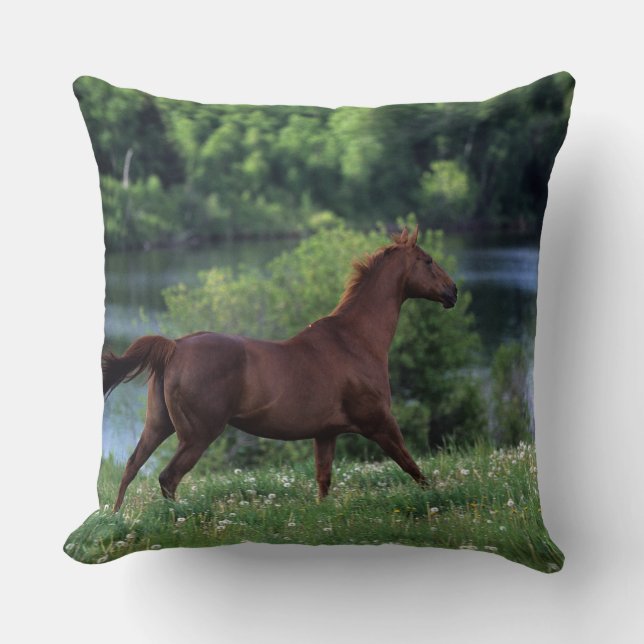 Coussin Cheval de pur sang se tenant en fleurs (Recto)