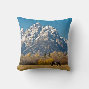 Coussin Cheval et Grand Tetons, Moose Head Ranch