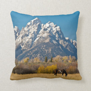 Coussin Cheval et Grand Tetons, Moose Head Ranch