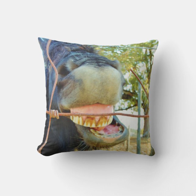 Coussin Cheval miniature visage drôle (Recto)