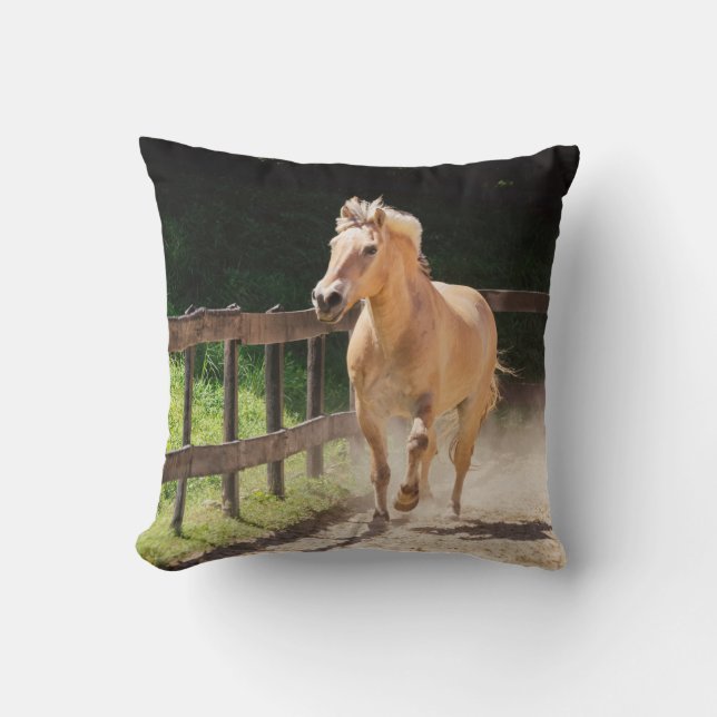 Coussin Cheval norvégien du fjord - Finn (Recto)