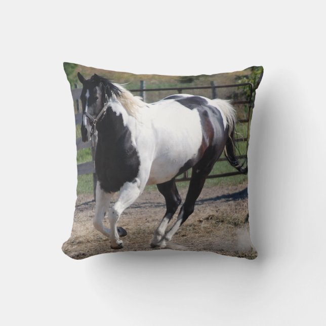 Coussin Cheval Paint Pinto (Recto)