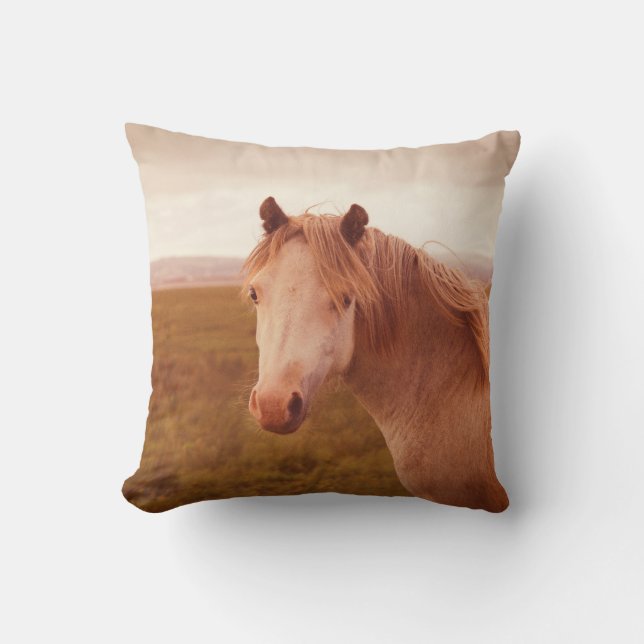 Coussin cheval sauvage vintage (Recto)