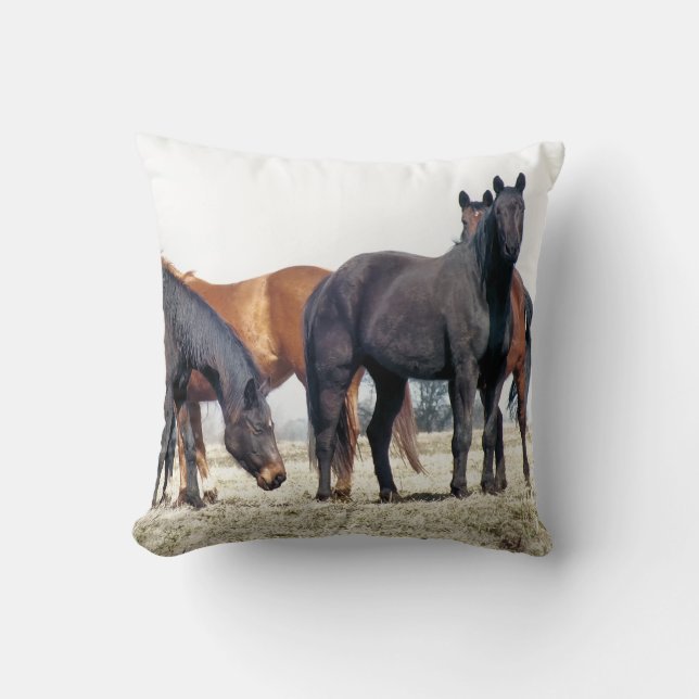 COUSSIN CHEVAUX (Recto)