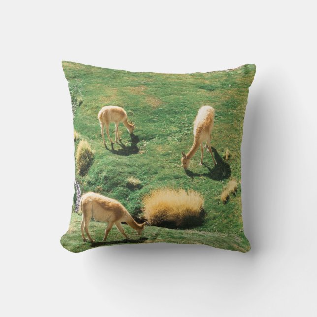 COUSSIN CHEVAUX BLANCS ET BROWN SUR LE CHAMP EN GRAS VERT (Recto)