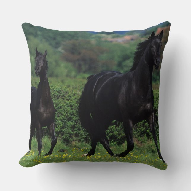 Coussin Chevaux de pur sang dans le domaine de fleur (Recto)