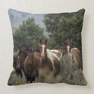 Coussin Chevaux sauvages 2 de mustang