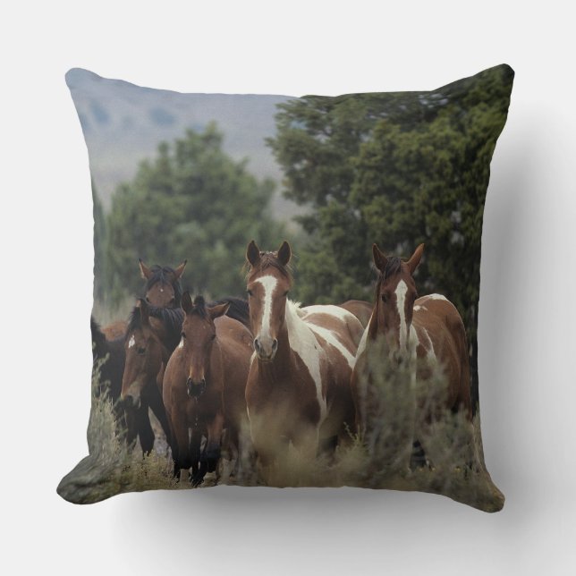 Coussin Chevaux sauvages 2 de mustang (Recto)