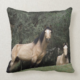 Coussin Chevaux sauvages 6 de mustang
