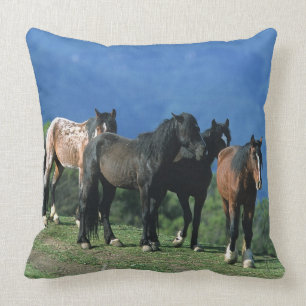 Coussin Chevaux sauvages de mustang dans les montagnes