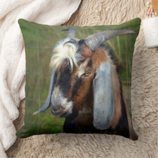 Coussin Chèvre.