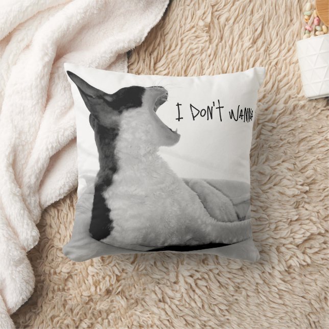 Coussin Chewy sez... Je ne veux pas. (Couverture)
