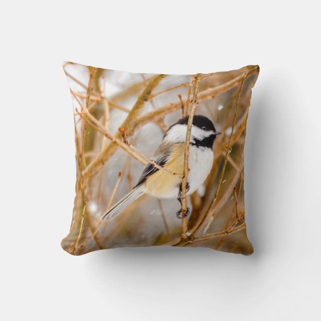 Coussin Chickadee au plafond noir - Photo originale (Recto)