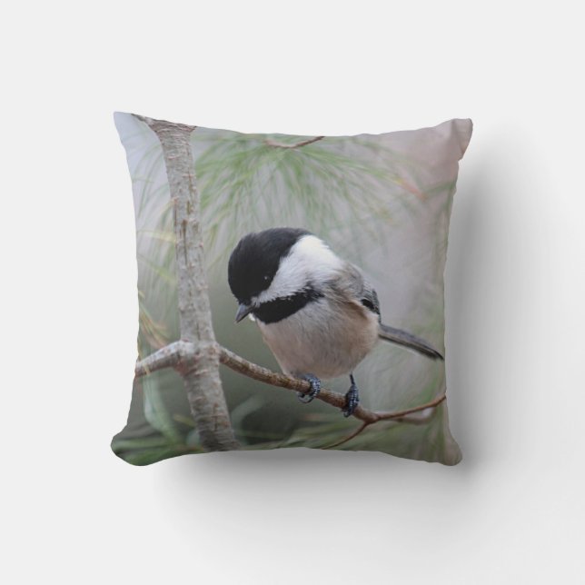 Coussin chickadee Noir-couvert (Recto)