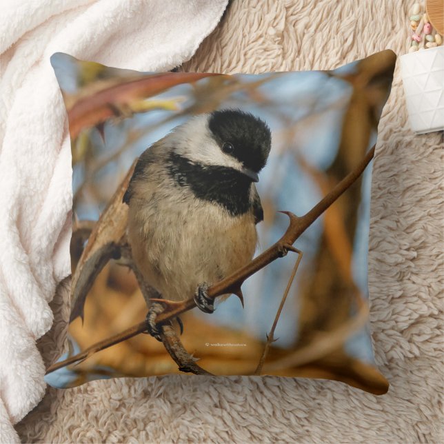Coussin Chickadee Songbird, Joli Espérant (Couverture)