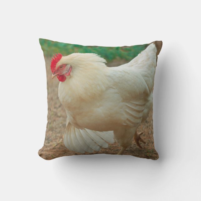 Coussin Chicken Funky Hen Hy Line Silver Brown (Recto)