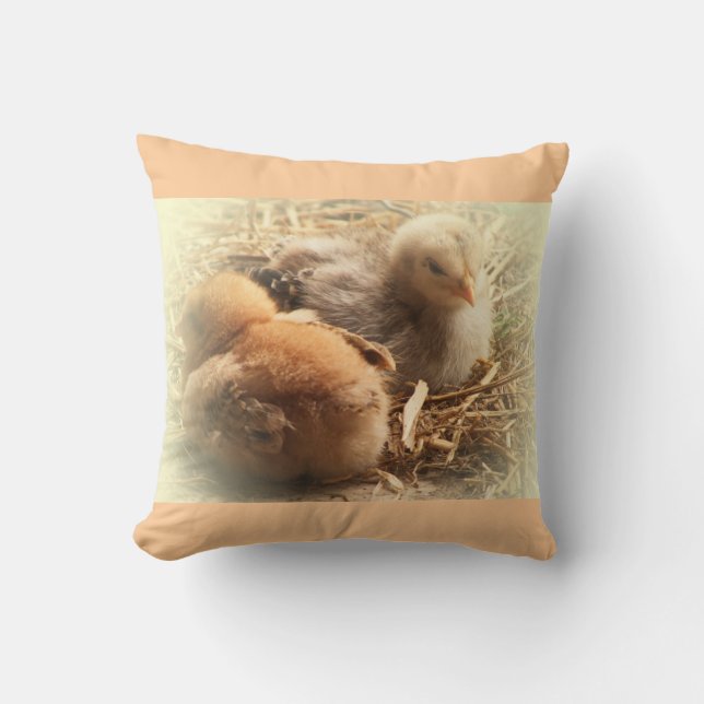 Coussin chickens chicks with feather (Recto)