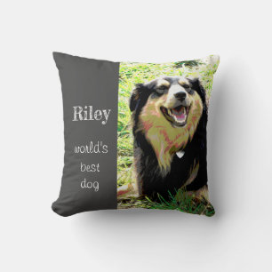 Coussin chien ajouter votre devis photo décoration personn