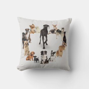 Coussin Chien amusant race Animaux de compagnie chien