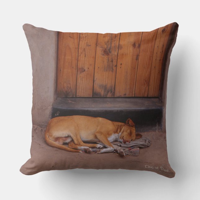 Coussin Chien au repos (Recto)