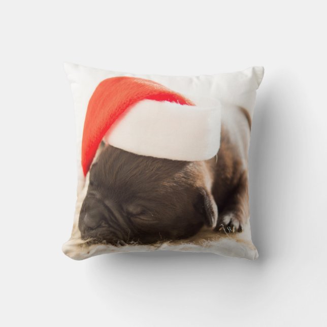 Coussin Chien avec un Casquette du Nouvel An (Recto)