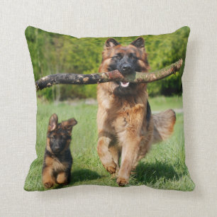 Coussin Chien berger allemand à longue chair et chiot