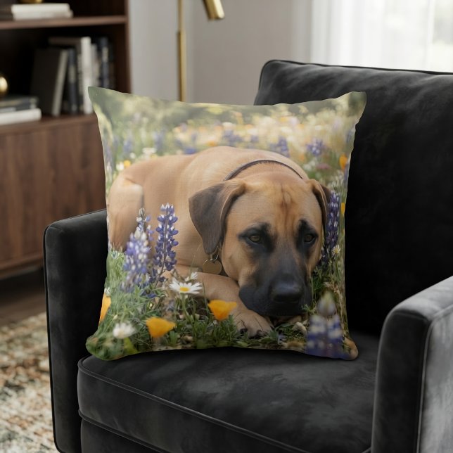 Coussin Chien Black Mouth Cur (Créateur téléchargé)