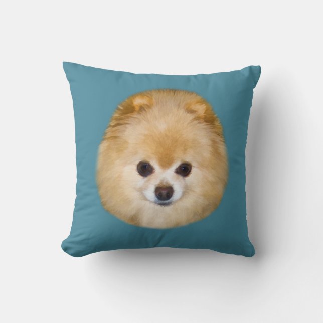 Coussin Chien Brown et blanc de Pomeranian (Recto)