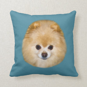Coussin Chien Brown et blanc de Pomeranian
