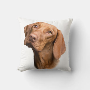 Coussin Chien Brown pointeur germanique