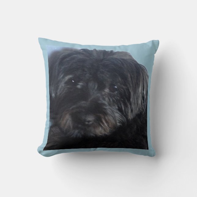 Coussin Chien chanceux (Recto)