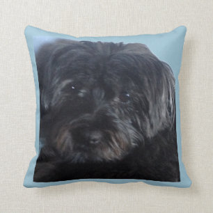 Coussin Chien chanceux