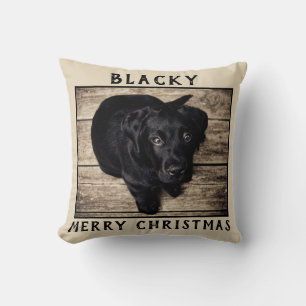 Coussin Chien Chien Chien Chien Chien Puppy Animaux Photo 