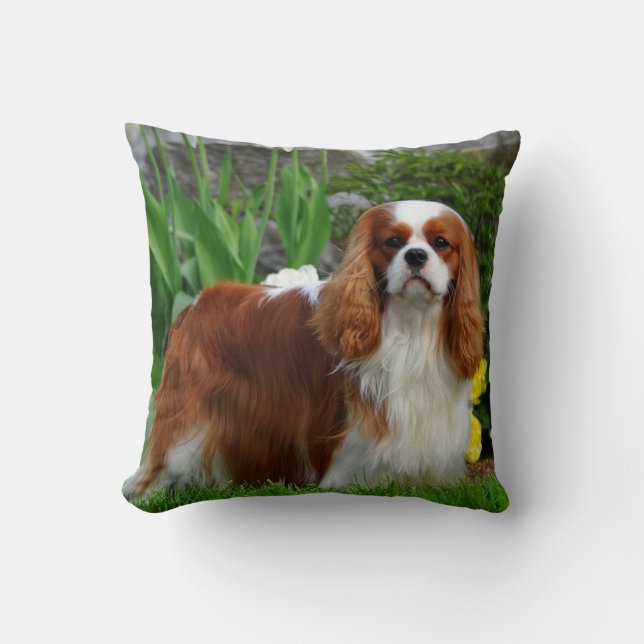 Coussin Chien coquelicot de Blenheim Cavalier (Recto)
