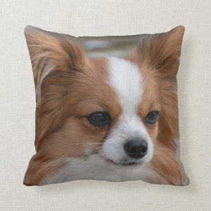 Coussin Chien coquelicot de Papillon