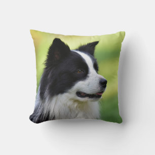 Coussin Chien de berger border collie noir et blanc