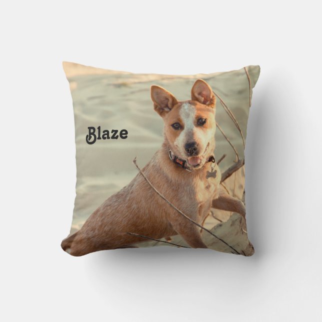 Coussin Chien de bétail australien rouge - Heeler - dans l (Recto)