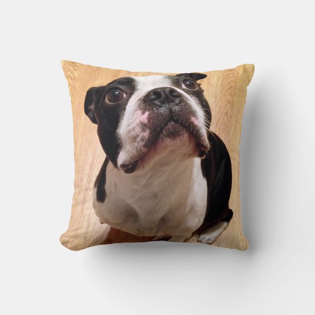 Coussin Chien de Boston Terrier (Recto)