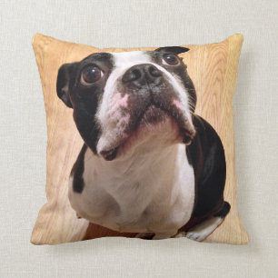 Coussin Chien de Boston Terrier