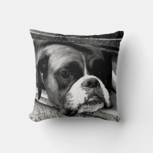Coussin Chien de boxe sur Windows tpcna