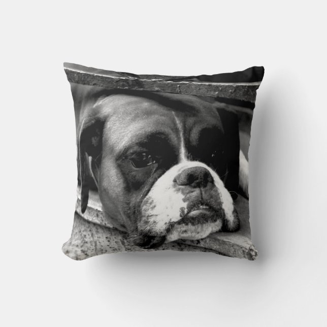 Coussin Chien de boxe sur Windows tpcnm (Recto)