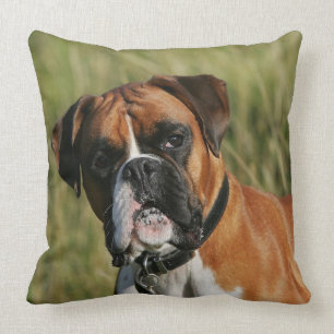Coussin Chien de boxeur regardant fixement