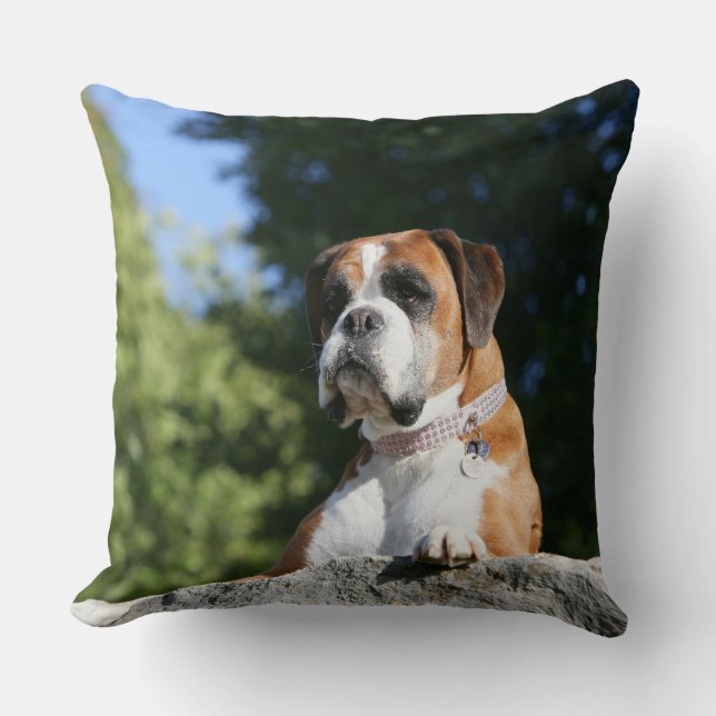 Coussin Chien de boxeur s'étendant sur une roche (Recto)