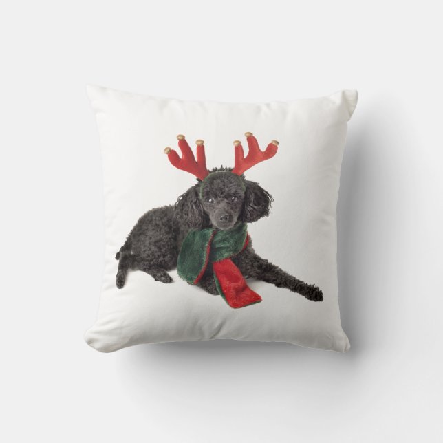 Coussin Chien de caniche noir de jouet de Noël habillé (Recto)