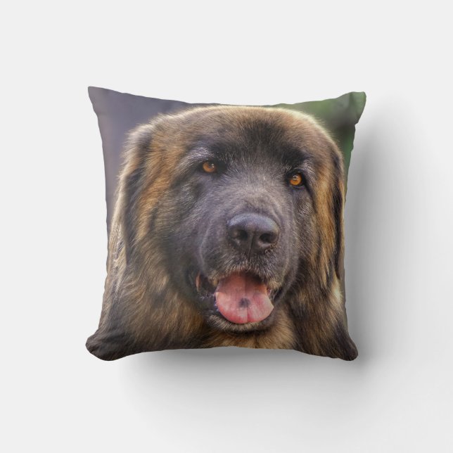 Coussin Chien de Fluffy Leonberger (Recto)