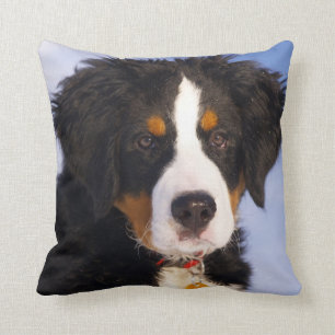 Coussin Chien de Montagne bernois - jolie photo de chiot