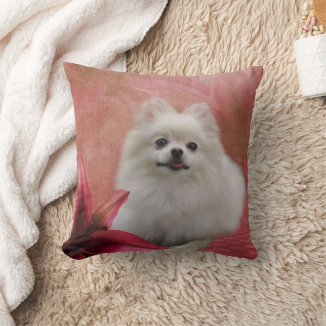 Coussin Chien de Poméranie mignon (Couverture)