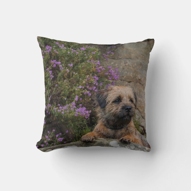 Coussin Chien de Terrier de frontière dans le carreau (Recto)